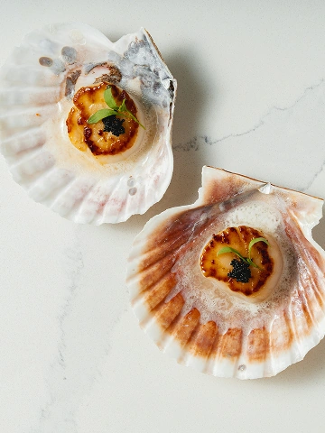 Scallops presented on shells